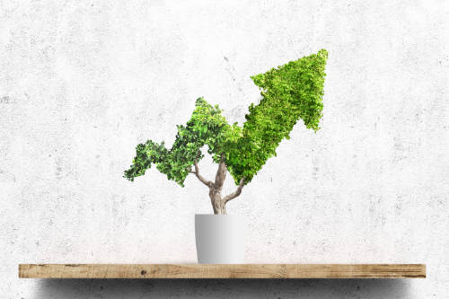 Heaton Financial Wealth Management