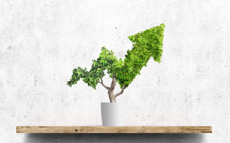 Heaton Financial Wealth Management